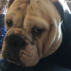 Meet your Posher, Beth